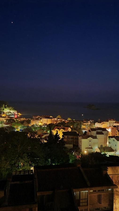 Anja & Ogo Apartments Sea View & Pool Petrovac Exterior photo